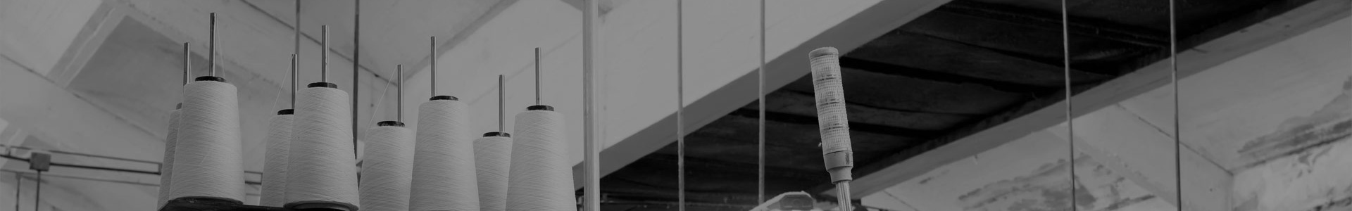 Công ty Tongxiang Baoyi, Ltd.