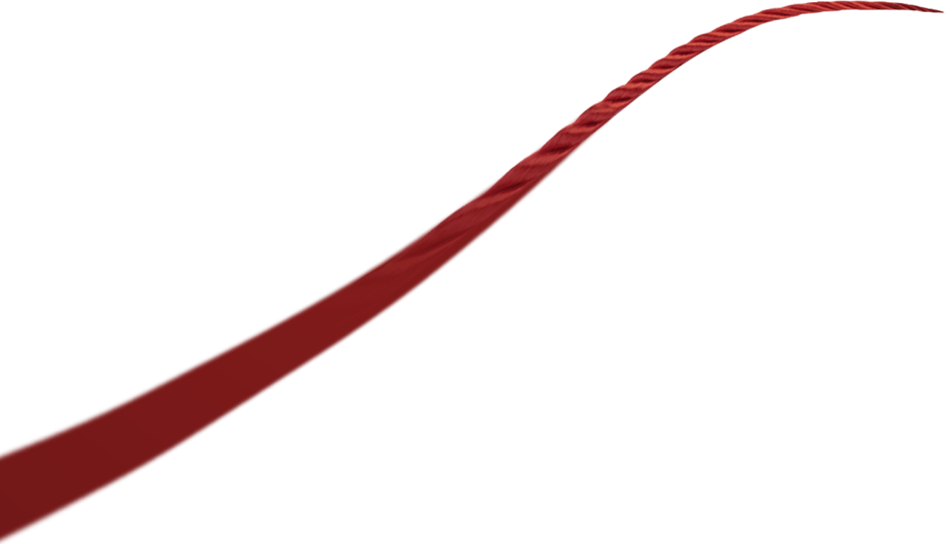 Công ty Tongxiang Baoyi, Ltd.