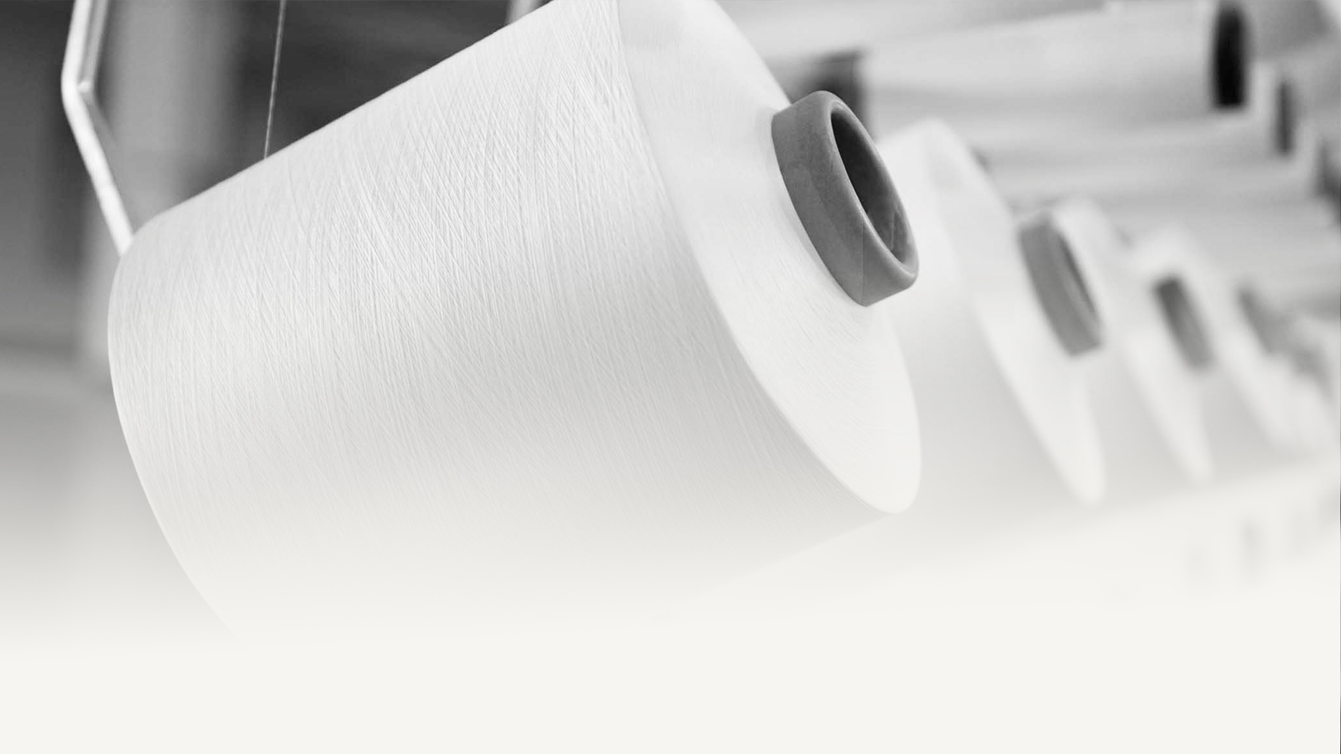 Công ty Tongxiang Baoyi, Ltd.