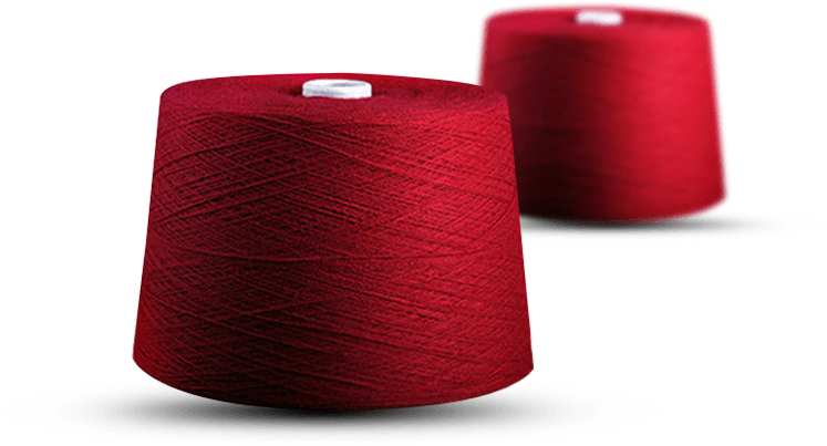 Sợi polyester nhuộm